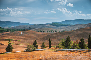 Wall Mural - Autumn fall in the Italian land