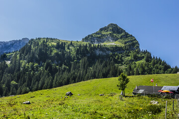 Picturesque views of the western Swiss Alps. Canton of Vaud, Switzerland.