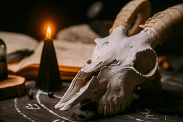 Canvas Print - White goat scull with horns, open old book, magic spells, runes, black candles