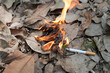 © Thicha - Close up cigarette butt non-smoked carelessly are thrown into dry grass on the ground causing a dangerous forest fire