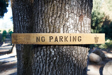 Wooden No Parking Sign On Tree, California, USA