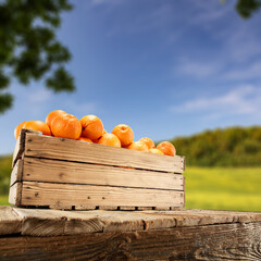 Wall Mural - Fresh orange fruits and free space for your decoration 