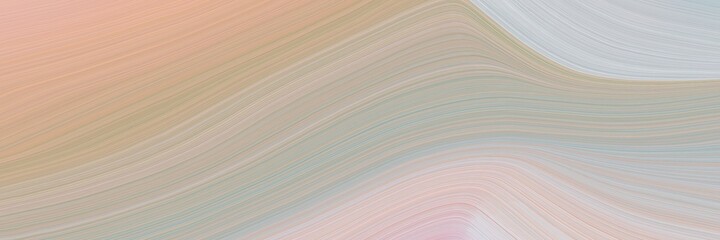 Poster - abstract flowing header with ash gray, tan and light gray colors. fluid curved flowing waves and curves for poster or canvas