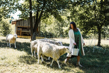 Woman With Sheep Walking On Farm