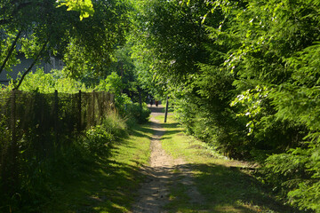 Sticker - Countryside road at summer day.