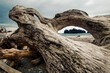 © Tandem Stock - Driftwood frame on Rialto Beach
