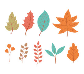 Poster - autumn leaves maple branch foliage nature icon set