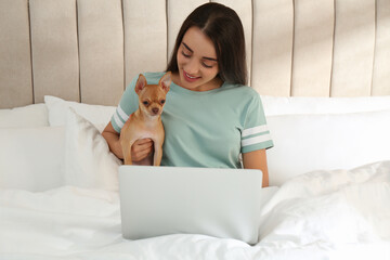 Poster - Young woman with chihuahua and laptop in bed. Home office concept