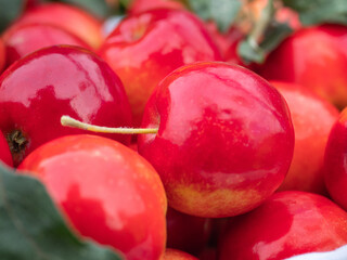 Texture of red apples for summer cards