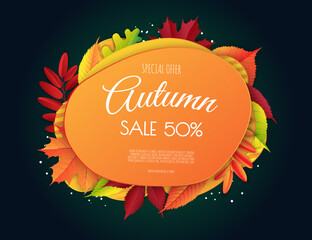 Autumn sale flyer template. Bright fall leaves. Poster, card, label, banner design.