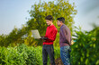 © PRASANNAPIX - young agronomist analyzing field with farmer, indian farming