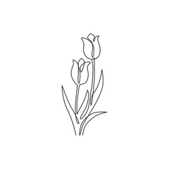 Wall Mural - One continuous line drawing of beauty fresh tulip for logo. Printable poster decorative Netherlands nationality flower concept wall home decor art. Modern single line draw design vector illustration