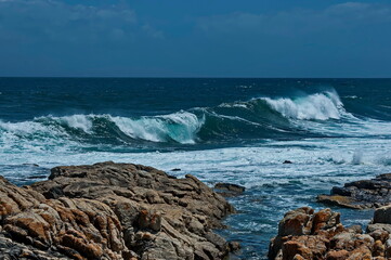 Wave sea shore along near to Cape Town, South Africa