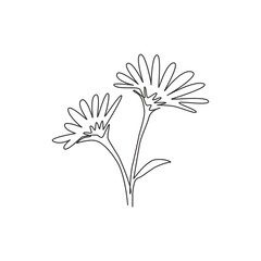 Wall Mural - Single continuous line drawing of beauty fresh perennial plant for home decor wall art poster. Printable decorative aster flower for wedding invitation card. One line draw design vector illustration