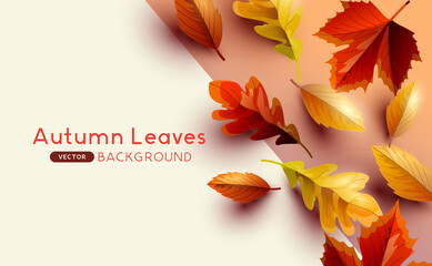 Autumn seasonal background frame with falling autumn leaves and copy space. Vector illustration