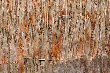 Detailed closeup macro photo of wood, texture background.