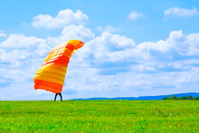 The Parachutist Has Landed On A Grassy Field. Skydiving.