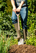 © Marie Young - Man digging in vegetable garden on a sunny spring day. Shot in portrait format.