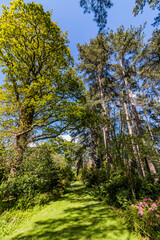 Poster - Path, Footpath, Track, Trail in the English Countryside. For walking, hiking, rambling and trekking.