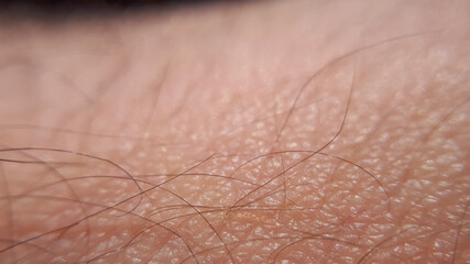 macro human shin with hair. macro closeup arm background