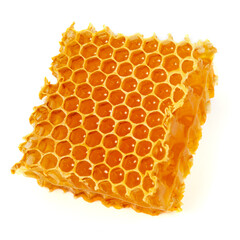 Healing wild honeycomb isolated on white background. Sweet natural and healthy delicacy. Propolis, beeswax and honey.