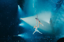 Two Aerial Acrobats 