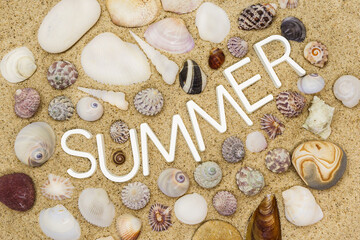 Seashells & stones are surrounding word 'Summer' that written on sand