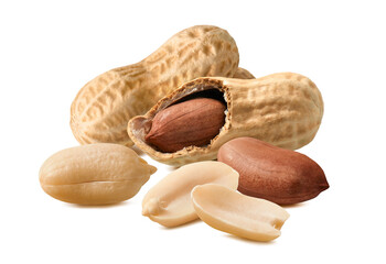 Wall Mural - isolated peanut group. shelled and unshelled raw groundnuts on white background