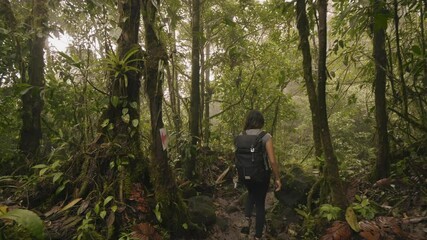 woman with a bagpack hiking in the forest of costa rica national park
