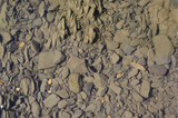 Fototapeta  - Background stones underwater