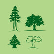 Tree silhouette
cedar sequoia, others