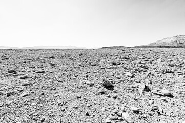 Canvas Print - Loneliness and hopelessness of the desert