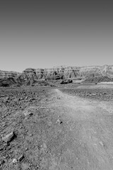 Canvas Print - Loneliness and hopelessness of the desert