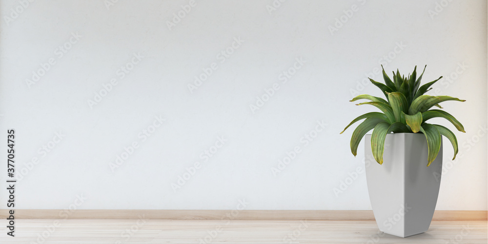 Plant in a pot with copy space,Empty wall background,3d rendering. - obrazy, fototapety, plakaty 