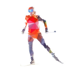 Wall Mural - Cross country skiing, isolated low polygonal vector skier illustration