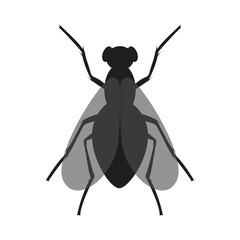 Wall Mural - the fly icon. black silhouette of housefly. vector housefly logo