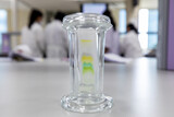 Fototapeta  - Study of Chromatography is used to separate components of a plant.
