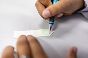 Wall Mural - Study of Chromatography is used to separate components of a plant.
