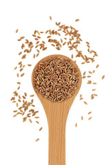 Wall Mural - Healthy emmer farro wheat grain in a wooden spoon on white background. High in antioxidants & a highly nutritious food source & an early premium spring wheat. Flat lay, top view.
