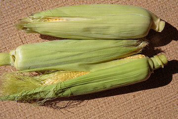 Wall Mural - Fresh green corn cobs. Corn as a concept of a vegan food.