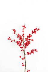 Wall Mural - Minimal seasonal composition. Pattern of branch with red berries on isolated white background. Christmas holidays, winter concept.