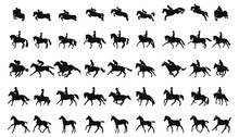 Large Collection Of Silhouettes Concept About Equestrian Sports, Show Jumping, Dressage, Eventing, Racing, Children's Sports And Foals