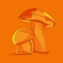 Two Orange Wild Mushrooms On A Orange Background. Sketch Vector File.