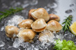 Fresh shell clam with herb ingredients for salad - Seafood shellfish on ice frozen at the restaurant , enamel venus shell , saltwater clams
