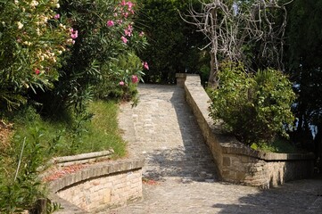  A paved road in the garden with plants and flowers (Pesaro, Italy, Europe)