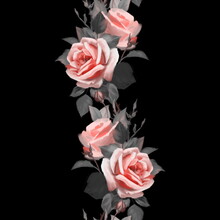 Illustration Of Pink Roses On Black Background. Seamless Floral Border In Oil Painting Style