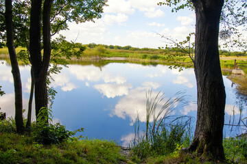 Wall Mural - Beautiful summer landscape with lake and clouds