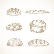Vector Brread Sketches Set. Hand Drawn Illustrations Of Challa, Sourdough Loaf, Brick And Baguette.