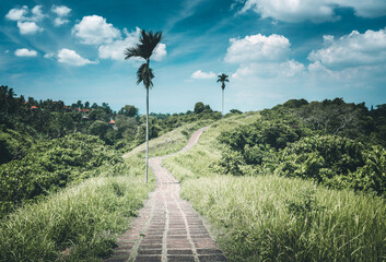 Canvas Print - Capuhan ridge walk, Ubud, Bali, Indonesia