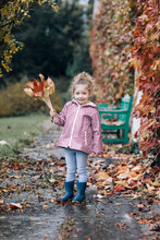 Portrait Of A Girl Collecting Autumn Leafs.